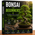 Bonsai For Beginners
